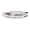 Tira Led 24V Smd Videny Ip65 Rgb+w(3000k) 14W/m - 5 Metros  RGB+W