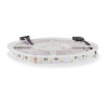 Tira Led 24V Smd Videny Ip20 Rgb+C(6000k) 14W/m - 5 Metros  RGB+C