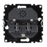 Enchufe Empotrable Tipo Schuko con USB  - PJ  Gris
