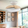 Ventilador de techo LED Wood Mushroom Ø72,5 cm  CCT