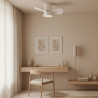 Ventilador de techo LED Nature - DSC  CCT