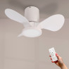 Ventilador de techo LED Nature - DSC  CCT