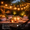 Guirnalda Led Solar de 15 bombillas 7,5M Exterior IP54  2700K