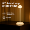 Lampara Led de sobremesa White Point  3000K