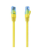 Cables de Red + 2 mt