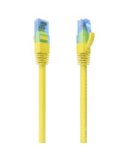 Cables de Red + 3 mt
